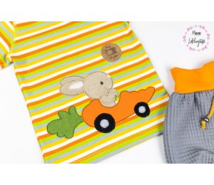 Stickdatei - Hasi Auto Fransenappli